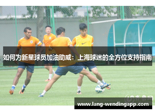 如何为新星球员加油助威：上海球迷的全方位支持指南