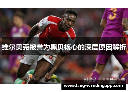 维尔贝克被誉为黑贝核心的深层原因解析