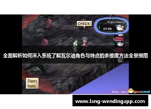 全面解析如何深入系统了解瓦尔迪角色与特点的多维度方法全景指南