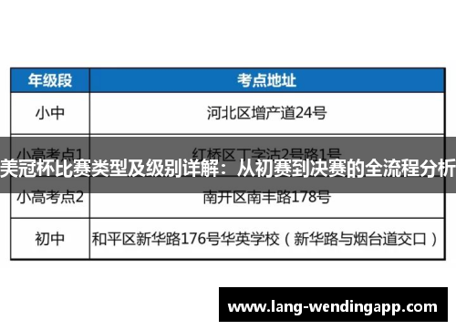 美冠杯比赛类型及级别详解：从初赛到决赛的全流程分析