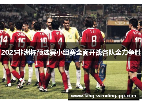 2025非洲杯预选赛小组赛全面开战各队全力争胜